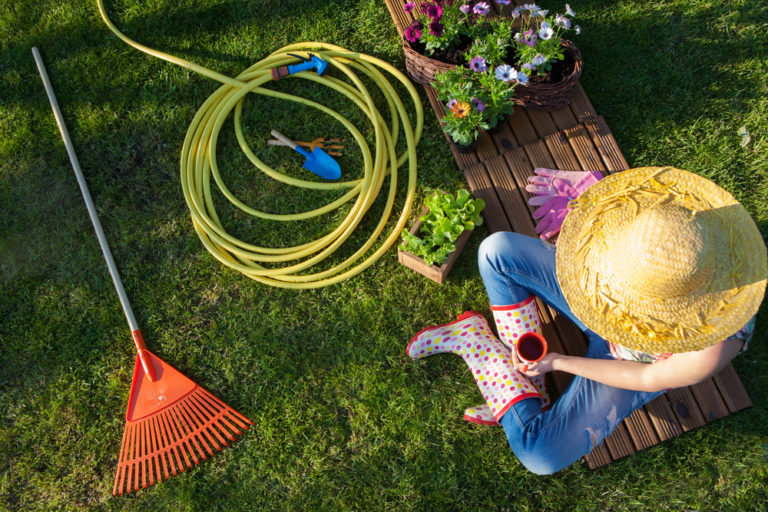 Tarif Entretien De Jardin : Guide Complet Sur Le Budget à Prévoir